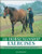 101 Horsemanship Exercises: Ideas for Improving Groundwork and Ridden Skills