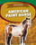 American Paint Horse