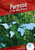 Purpose of the Rain Forest