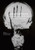 Biomedical Visions: Epistemology, Medicine and Art Practice