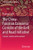 The China-Pakistan Economic Corridor of the Belt and Road Initiative : Concept, Context and Assessment