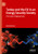 Turkey and the EU in an Energy Security Society : The Case of Natural Gas