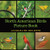 North American Birds Picture Book: Dementia Activities for Seniors (30 Premium Pictures on 70lb Paper With Names)