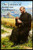 The Letters Of Komitas