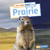 Day And Night On The Prairie - 9781663976925