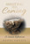 Awaiting His Coming : 25 Advent Reflections - 9781664250628