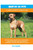 Mastiff As Pets : A Complete Mastiff Owner'S Guide