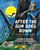 After The Sun Goes Down - 9781948959513