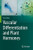 Vascular Differentiation And Plant Hormones