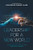 Leadership For A New World: A Selection Of Thoughts For Perplexed Leaders