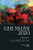 Ghi Nh?N 2020 (Vietnamese Edition)