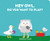 Hey Owl, Do You Want To Play? (Owl And Bird)