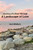 A Landscape Of Love: Journey Of A Soul Through
