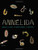 Annelida