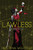 The Lawless