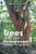 Trees and The Environment: Another Perspective