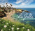 La Jolla: Jewel by the Sea