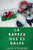 La Rareza Que Es Gales (Spanish Edition) - Paperback