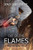 Out of the Flames (A Manhattan Sloane Thriller)