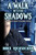 A Walk In The Shadows: A Complete Guide To Shadow People