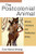 The Postcolonial Animal: African Literature and Posthuman Ethics (African Perspectives) - Paperback