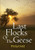 Last Flocks of the Geese