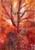 Ignite - Paperback