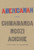 Americanah (ALA Notable Books for Adults)