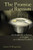 The Promise of Baptism: An Introduction to Baptism in Scripture and the Reformed Tradition