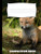 Composition Book: Fox Composition Notebook Wide Ruled