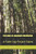 The Book Of Apophatic Meditation: A Faith-Ing Project Guide