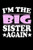 I'M The Big Sister Again: Family Collection