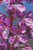 Calepin: 100 Pages - Motif Floral (French Edition)