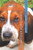 Cómo Cuidar A Los Perros (Spanish Edition)