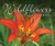 Wildflowers: Nature'S Stunning Beauty On Display (Nature Appreciation)