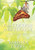 From Cocoon To Butterfly: Reflections - 9781098013516