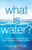 What Is Water?: How Young Leaders Can Thrive In An Uncertain World - 9781544503509