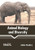 Animal Biology And Diversity