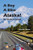 A Boy A Bike Alaska!: Mt. Shasta To Denali