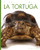 La Tortuga (Planeta Animal) (Spanish Edition)