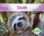Sloth (South American Animals) Sloth (South American Animals)
