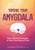 Taming Your Amygdala: Brain-Based Strategies To Quiet The Anxious Mind