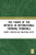 The Figure of the Witness in International Criminal Tribunals (Transitional Justice)