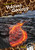 Volcano Geology (Volcano Science: Dash! Leveled Readers, Level 3)