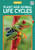 Plant and Animal Life Cycles (Earth Cycles)