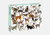 Iconic Cats: 1,000-Piece Jigsaw Puzzle