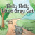 Hello, Hello, Little Gray Cat