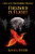 FIREBIRD IN FLIGHT (THE FIREBIRD TRILOGY)
