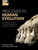 Processes In Human Evolution
