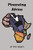 Financing Africa